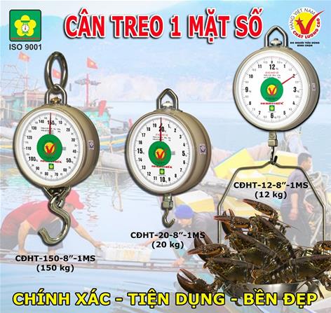 can-treo-1-mat-so-nhon-hoa