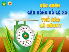 bao-quan-can-dong-ho-the-nao-la-dung
