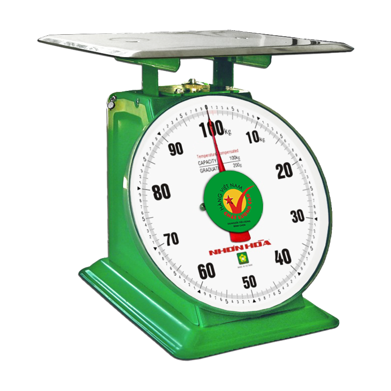 scale-100-kg